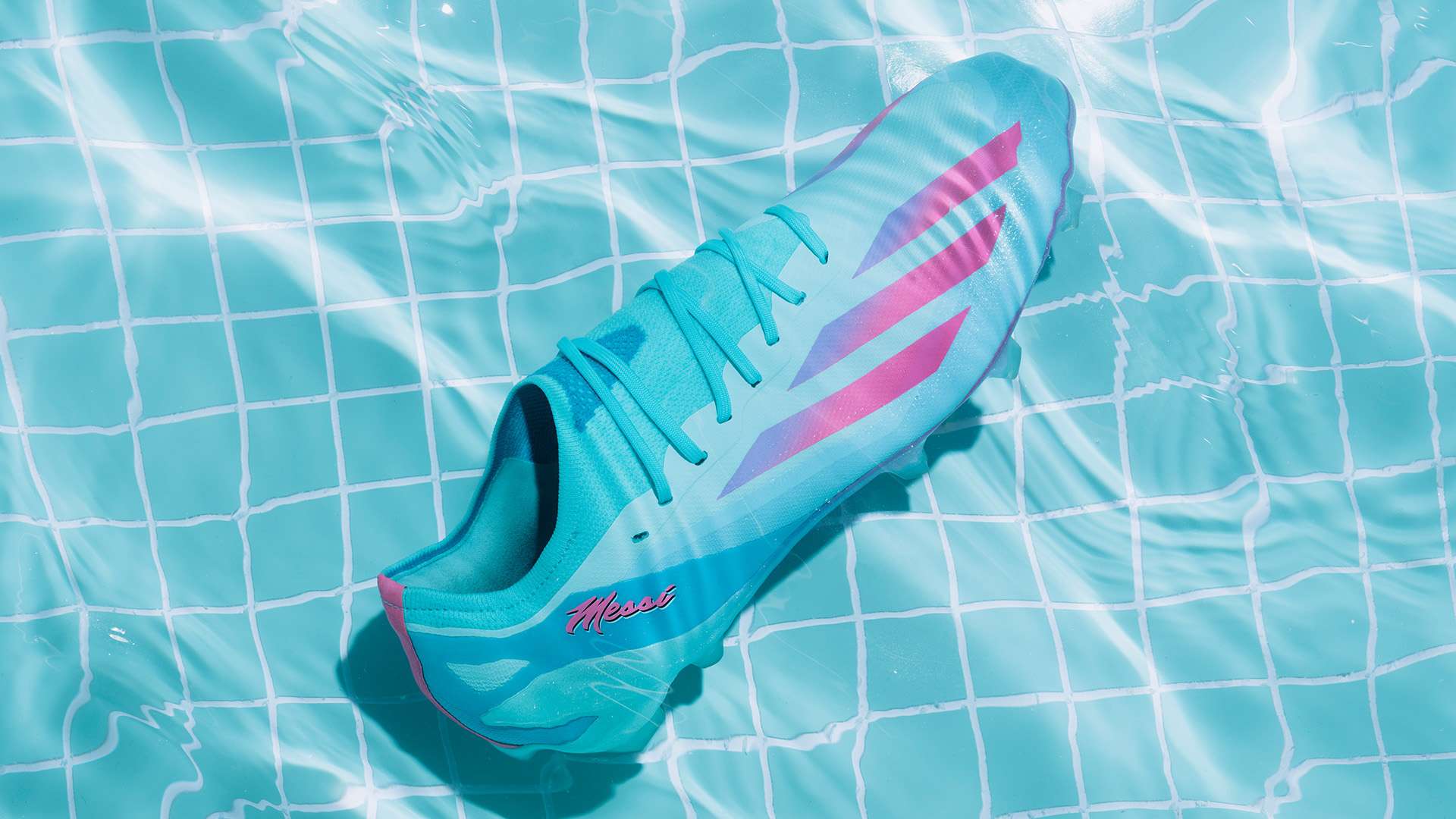 在諾坎普球 在諾坎普球