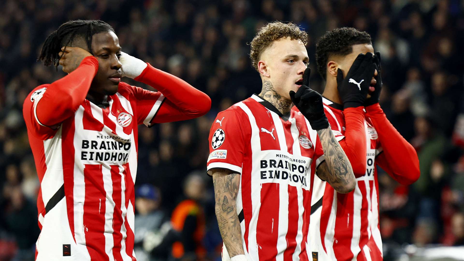 展示出了 展示出了