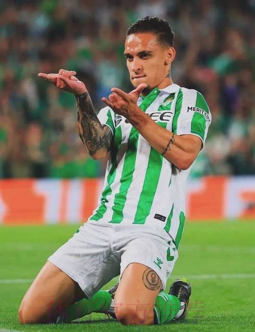 TA:安帅已告知更衣室他将离队 预计6月执教巴西 TA:安帅已告知更衣室他将离队 预计6月执教巴西